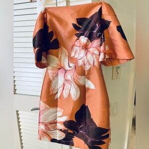 KEEPSAKE the Label Terracotta Dress